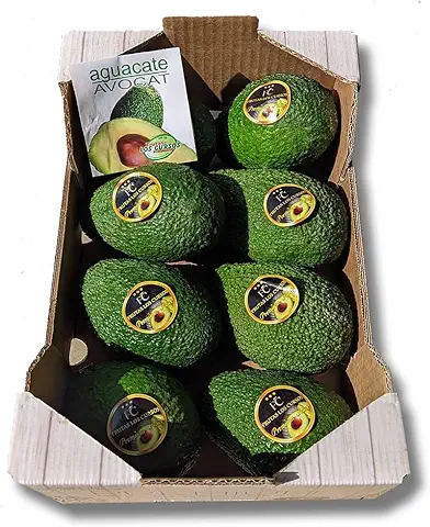 Aguacate Hass Pack 2 kg - Compra Aguacates Hass Seleccionados uno por uno para ti. Aguacates Frescos.  