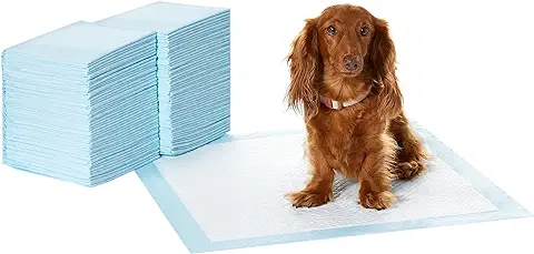 Amazon Basics Almohadillas de Adiestramiento de Perros y Cachorros, Diseño de 5 Capas a Prueba de Fugas con Superficie de Secado Rápido, Regular, 100 Unidades, Azul  
