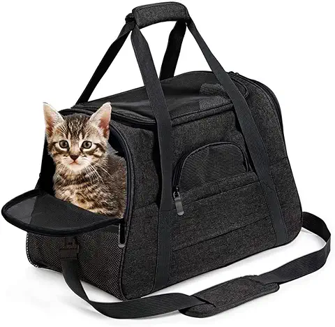 Bibykivn Transportin Viaje Gato Perro,Plegable Bolso de Transportin para Perros,Bolso de Transportin para Perros Gatos,Transportín Perro Pequeño con Colchón Suave para Coche,Avión,Viaje (S, Negro)  