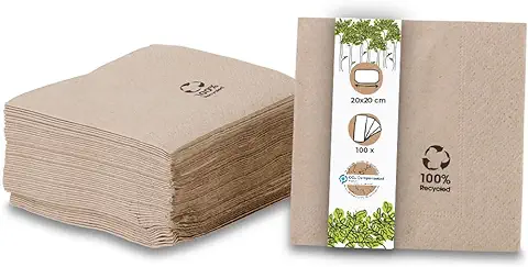 BIOZOYG Servilletas Orgánicas Ecológicas de Papel Reciclado I Servilletas de Papel 20 x 20 cm I 100 Piezas de Servilletas sin Blanquear, Biodegradables, Compostables  