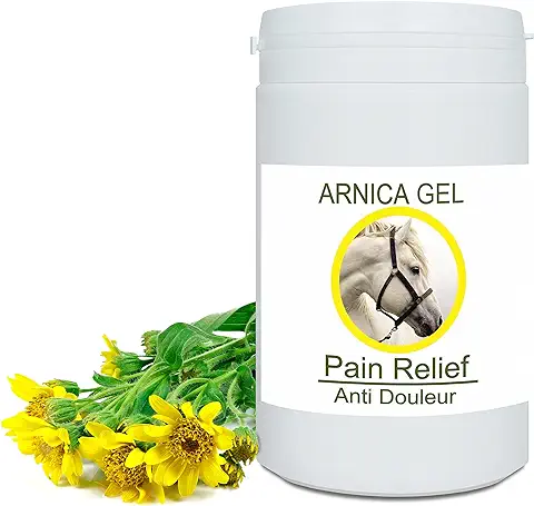 Bleu & Marine Bretania - Gel de Árnica 90% Concentrado | Extracto Ecológico | Masaje Muscular y Articular | Hidratante y Tratamiento de Acné, Espinillas, Puntos Negros y Estrías, 1kg Bleu & Marine Bretania - Gel de Árnica 90% Concentrado | Extracto Ecológico | Masaje Muscular y Articular | Hidratante y Tratamiento de Acné, Espinillas, Puntos Negros y Estrías, 1kg