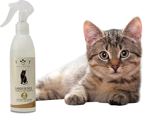 Champú Seco Natural y Vegetal para Gatos - No Requiere Agua ni Enjuague - para una Limpieza en Seco Eficaz, Línea 101, 250ml  