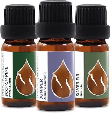 Cofre de Aceites Esenciales Orgánicos "Magia de Bosque" | Pino Silvestre + Enebro + Abeto Plateado | 100% Puro y Natural | Sin Diluir | Grado Terapéutico | Granja Familiar | Sin OMG | 3 Piezas x 10 ml  