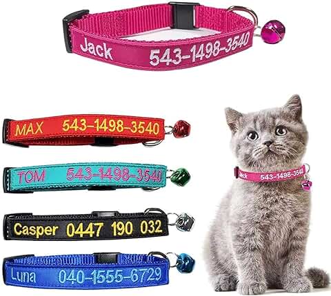 Collar de Gato Personalizado con Campana, Collar de Gato con Hebilla de Liberación de Seguridad, Nombre de Identificación de Mascota Bordado Tel en el Collar de Gatito  