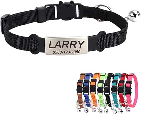 Collar Láser Identificación de Gato Mujer Hombre Pequeños Antiahogo Personalizado con Nombre Número de Teléfono Cierre de Seguridad Cascabel  
