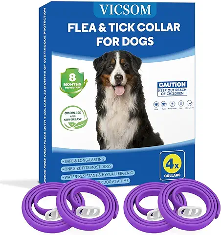 Collares Antiparasitario para Perros, Collar Antipulgas Perros, Collar de Pulgas y Garrapatas para Perro Impermeable Regulable, Válido 8 Meses para Perros de Todos los Tamaños Morado 4Pcs  