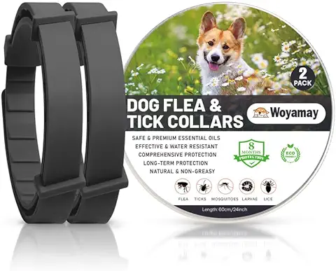 Collares Antiparasitarios para Perros, Seguro y Eficaz Collar Antipulgas Perros Contra Pulgas y Garrapatas, Protección de 8 Meses, Impermeable Collar para Pequeño Mediano Grandes Perros Negro, 2 Pcs  