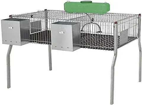 Copele 10950 Jaula para Conejos Penta 2  