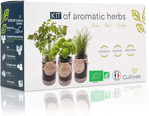 Cultivea® Kit Completo de Hierbas - Cultiva Tus Propias Hierbas Aromáticas - 100% Ecológicas: Semillas Orgánicas - Decora tu Hogar con un Huerto Urbano. (Cebollino, Albahaca, Perejil)  
