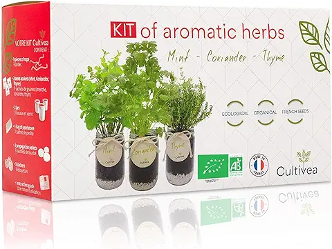 Cultivea® Kit Completo de Hierbas - Cultiva Tus Propias Hierbas Aromáticas - 100% Ecológicas: Semillas Orgánicas - Decora tu Hogar con un Huerto Urbano. (Menta, Cilantro, Tomillo)  