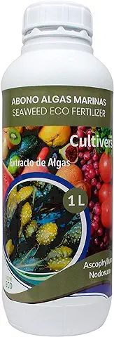CULTIVERS Fertilizante Algas Marinas Líquido 1 L . Abono Orgánico para Plantas Extracto de Ascophyllum Nodosum. Potenciador de Crecimiento, Estimulador de Raíces, Mejora la Producción  
