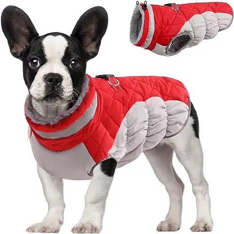 Dolahovy Chaquetas de Invierno para Perros Abrigos para Perros Ropa para Perros de Clima Frío Ropa para Mascotas a Prueba de Viento Chalecos Reflectantes para Perros Pequeños y Medianos Chihuahua  