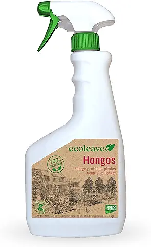 ECOLEAVEX Hongos. Protege y Cuida tus Plantas Frente a los Hongos, ECOLOGICO, 100% Natural y Residuo Zero. Alto Contenido en Minerales, Vitamina C, Aminoácidos. (SPRAY Pulverizador de 750 ml) ECOLEAVEX Hongos. Protege y Cuida tus Plantas Frente a los Hongos, ECOLOGICO, 100% Natural y Residuo Zero. Alto Contenido en Minerales, Vitamina C, Aminoácidos. (SPRAY Pulverizador de 750 ml)