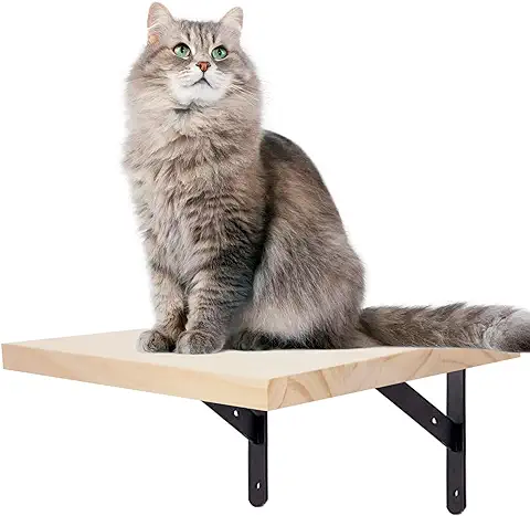 Escalera Gatos Escalada Tumbona Tabla de la Pared Estante, Soporte de Pared para Escaleras Muebles de Juego Montado en la Pared Estantes para Gatos Escalar y Jugar en Paredes, 1 Peldaños  