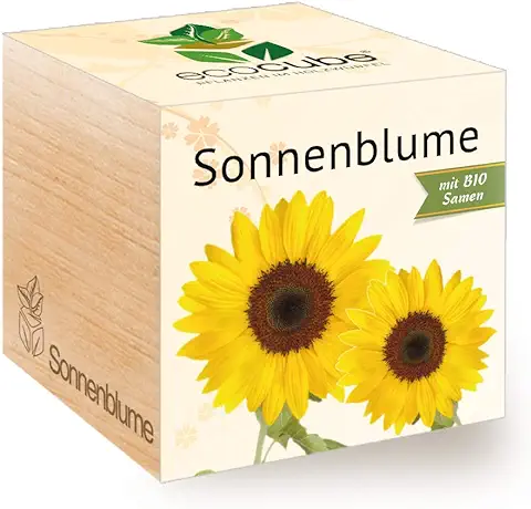 Feel Green Ecocube - Flor de Sol Ecológica, Certificado Ecológico, Idea de Regalo Sostenible (100% Eco Friendly), Cultivar tu Abuelo/Cultivo de Plantas, Fabricado en Austria  