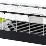 Ofertas de Mascotas