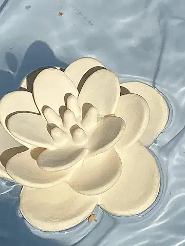 Flor de Loto Lanco  