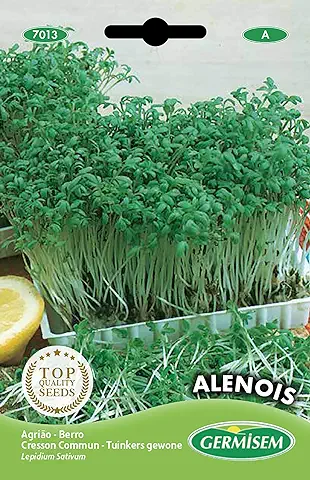 Germisem Alenois Semillas de Berro Jardín 12 g (EC7013)  