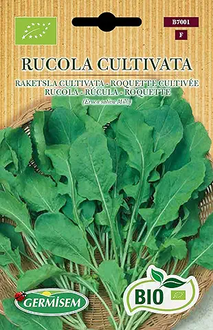 Germisem Orgánica Rucola Cultivata Semillas de Rúcula 6 g  