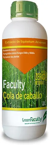 GreenFaculty - Cola de Caballo - Fungicida Ecológico para Plantas de Interior, Jardín y Huerto. Contra Hongos como Oidio y Mildiu. Equisetum Arvense 1L GreenFaculty - Cola de Caballo - Fungicida Ecológico para Plantas de Interior, Jardín y Huerto. Contra Hongos como Oidio y Mildiu. Equisetum Arvense 1L