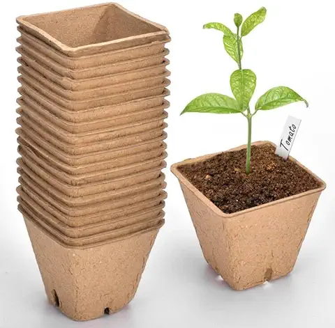 Gueche 60 Piezas Pequeñas Macetas de Semillas de Fibra Biodegradables para Plántulas, Ø 6 cm Macetas de Fibra con 60 Etiquetas de Plantas Macetas Biodegradables, Macetas de Fibra para Flores Plantas  