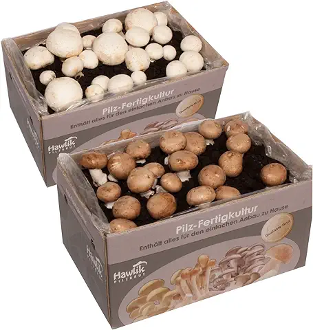 Hawlik Pilzbrut | 2 Cultivos de Champiñones | Cultivo Setas Champiñón Blanco y Marrón Pequeño | 2x Cultivos de Setas Mezcla | Cultivarse el Portobello  