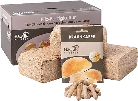 Hawlik Pilzbrut - El Original – Cultura para Cultivarse Setas Usted Mismo – Fácil de Recoger Setas Frescas - Setas Autocultivo para el Jardín  