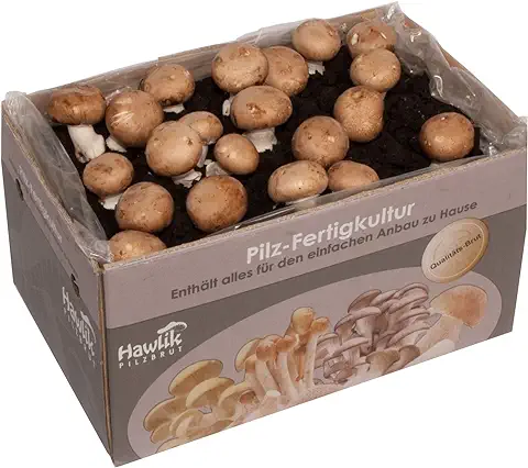 Hawlik Pilzbrut - Gran Juego de Champiñones XXL I kit Cultivo Setas Champiñón, sin Conocimientos Previos, gran Regalo para los Amantes del Jardín y de las Verduras - Cultivarse el Portobello  