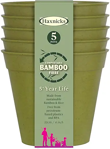 Haxnicks Maceta de Fibra de Bambú Sostenible para Interiores y Exteriores, 10 cm de Diámetro, Verde Salvia | Pot180101  