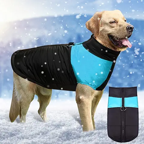 Herefun Perro Chaqueta Otoño Invierno, Mascota Chaleco Caliente, Perrito Ropa Chaleco de Forro Polar, Ropa Mascotas Abrigada Algodón Perro Cálido Proteccion para Perros Pequeños y Medianos (XXXL)  