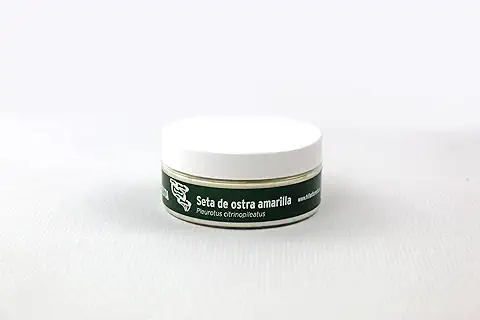 HIFAS - Setas Autocultivo - Autocultivo de Seta de Ostra Amarilla Sobre Troncos de Madera, Perfecto para el Cultivo de Setas en casa o para el Huerto, Mushroom Growing (20 Uds)  