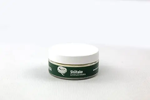 HIFAS - Setas Autocultivo - Autocultivo de Seta Shiitake Sobre Troncos de Madera, Perfecto para el Cultivo de Setas en casa o para el Huerto, Mushroom Growing (20 Uds)  
