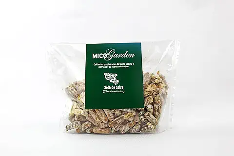 HIFAS - Setas Autocultivo - Autocultivo de Setas de Ostra, Perfecto para el Cultivo de Setas en Casa o para el Huerto, Setas Comestibles Ecologicas, Mushroom Growing (200 Uds)  