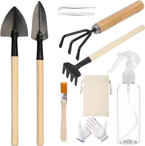 HOKATOOM 11pcs Juego Herramientas para Bonsái, Piezas Jardinería, Mini Pico Jardín, Pala Pinzas Tijeras Pequeñas Metalico Jardinero, Cepillo de Limpieza Brotes Hojas Maceta Planta, Botella Spray Agua.  