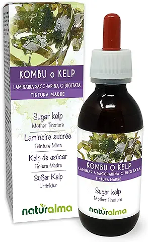 Kombu o Kelp de Azúcar (Laminaria Saccharina o Laminaria Digitata) talo (alga) Tintura Madre sin Alcohol Naturalma | Extracto Líquido Gotas 120 ml | Complemento Alimenticio | Vegano  