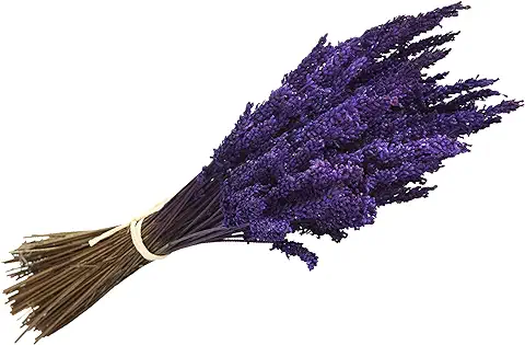 Lavanda Experience, Ramo de Flores Naturales de Lavanda Preservada de Cultivo Ecológico en la Cuenca Mediterránea, Elaborado Artesanalmente con Productos de Primeras Calidades  