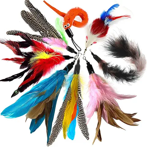 Onebarleycorn - 8 Piezas Juguete Plumas Gato,Juguetes para Gatos Caña Gato, con Repuestos de Plumas, Pájaros y Ratones  