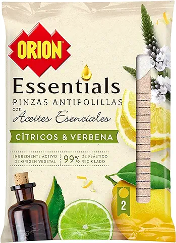 Orion