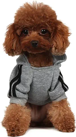 PenghaiYunfei Ropa Perro,Cálido Sudadera con Capucha para Perros Algodón Suéter Chaqueta Abrigo Costume Pullover para Mascota Pequeño Perro Gato (Gris, XX-Large)