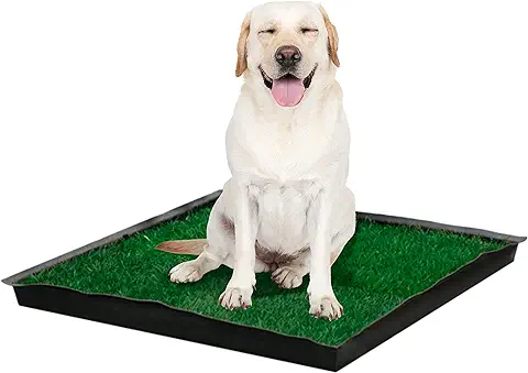 PetGround Empapador para Perros, Pack XXL Empapador Ecológico, Alfombrilla de Césped Natural para Mascotas, Inodoro para Perros, Impermeable, Reutilizable e Inoloro, XXL (80cm x 80cm)  