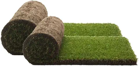 PetGround Recambio XXL, Empapador para Perros, 2X Alfombrilla de Césped 100% Natural para Mascotas, Área de Entrenamiento para Perros, Empapador Ecológico (sin Bandeja), XXL 80cm x 80cm  