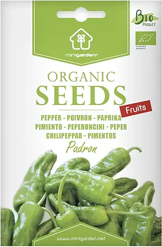 Pimiento de Padrón. Semillas Ecológicas Certificadas Minigarden. Contiene Entre 50 y 75 Semillas  