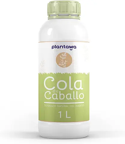 PLANTAWA Cola de Caballo, Equisetum Arvense, Control de Hongos, Botrytis, Mildiu, Oidio, Araña Roja, Hongos, Phytopthora SP, Alternaria, 100% Natural, 1L PLANTAWA Cola de Caballo, Equisetum Arvense, Control de Hongos, Botrytis, Mildiu, Oidio, Araña Roja, Hongos, Phytopthora SP, Alternaria, 100% Natural, 1L