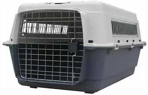 Ribecan RBC L-60 IATA Junior - Transportin, 60 x 40 x 40 cm  