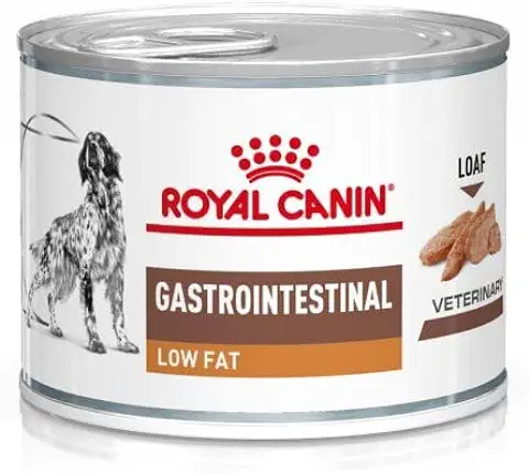 Royal Canin Veterinary Gastrointestinal Low Fat Mousse | 12 x 200 g | Alimento Completo Dietético para Perros Adultos | Puede Ayudar a una Digestión Saludable  