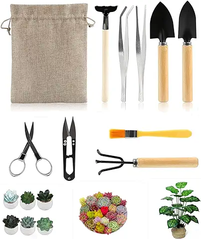 RUIYWEN Kits de 10 Piezas Herramientas de Jardinería Mini Herramientas para Bonsái, Plantas Suculentas, Plántulas, Cactus, Maceta  