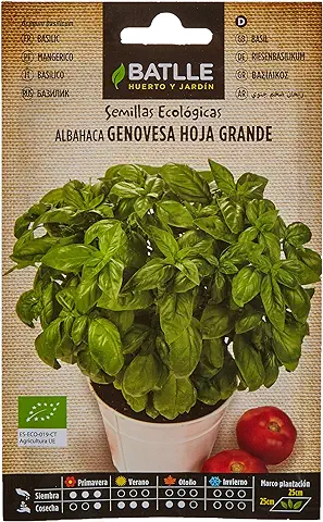 Semillas Batlle Albahaca Genovesa hoja Grande – ECO  