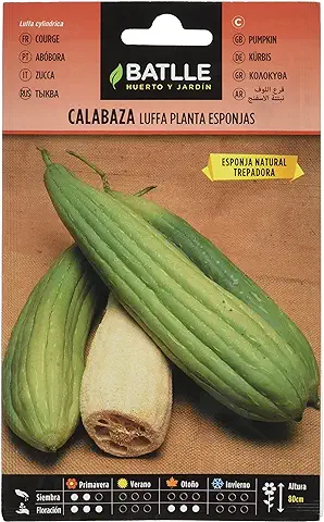 Semillas Batlle Calabaza LUFFA Planta Esponjas  