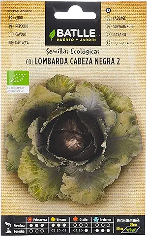 Semillas Batlle Col Lombarda - ECO  