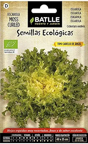 Semillas Batlle Escarola Cabello Angel Moss Curled - ECO  